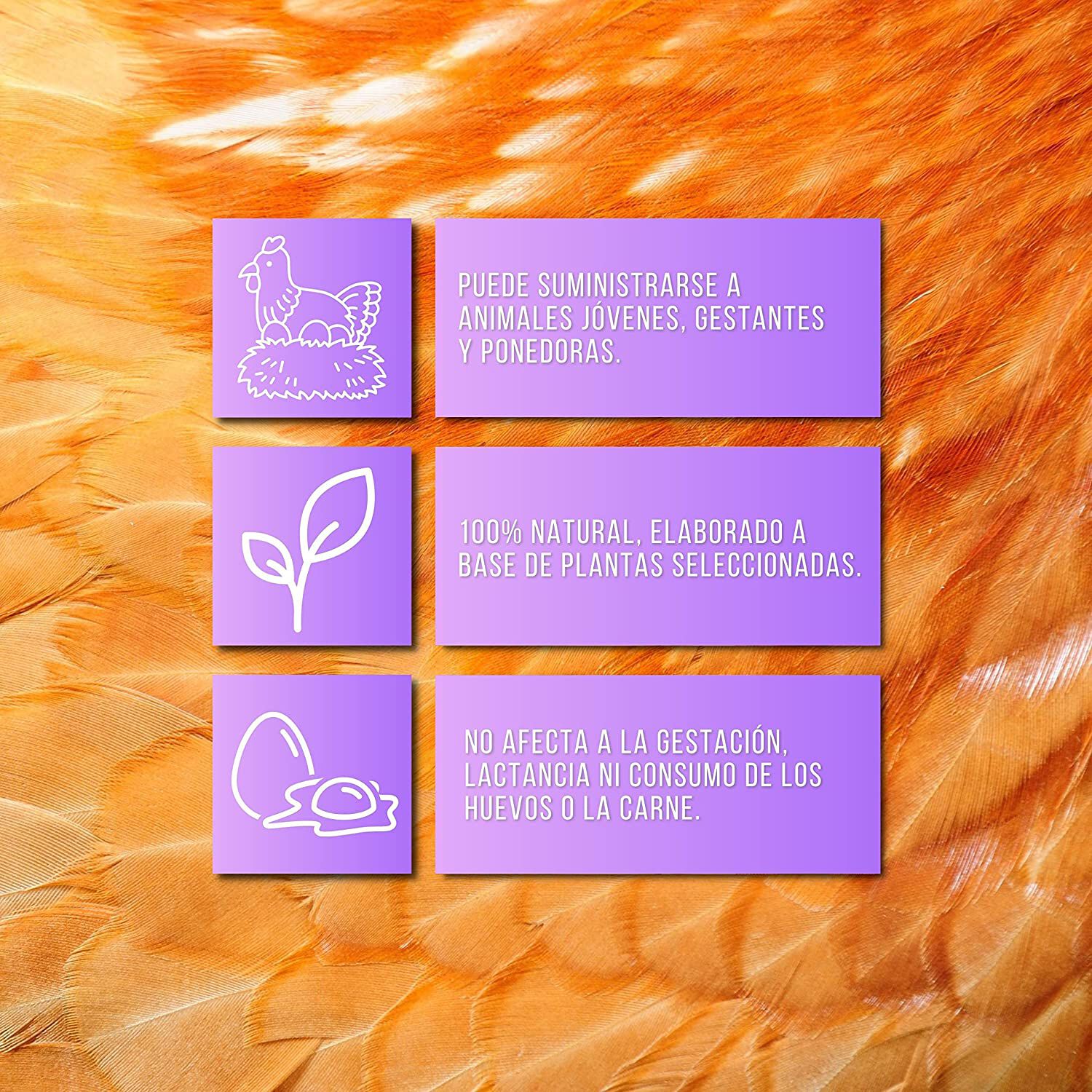 Finca casarejo soluvita vitaminas para animales de granja, , large Imagen numero 2